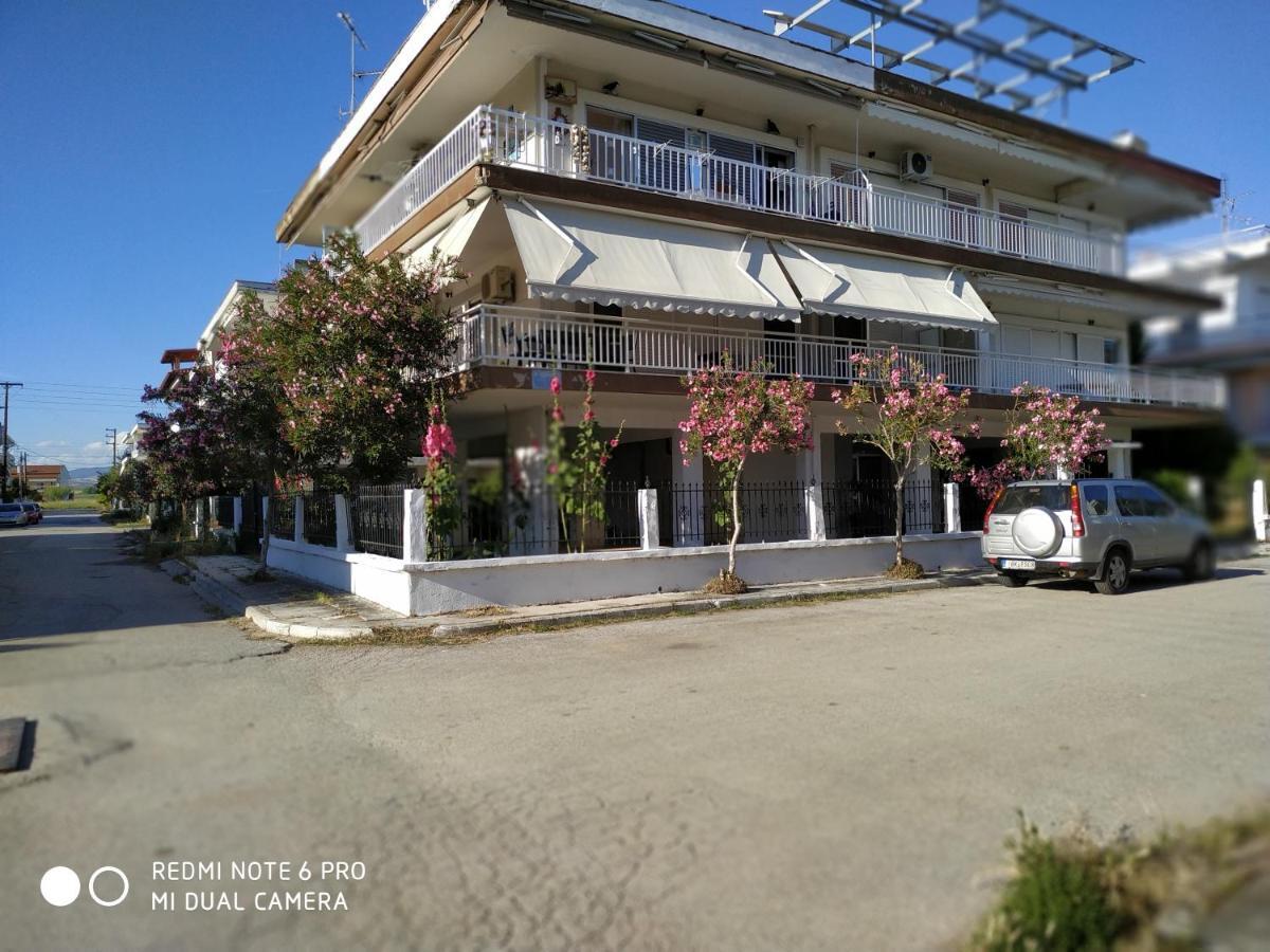 Cosi Apartment 帕拉利亚狄奥尼索 外观 照片